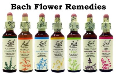 Bach Flower Remedies